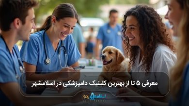 بهترین کلینیک دامپزشکی در اسلامشهر