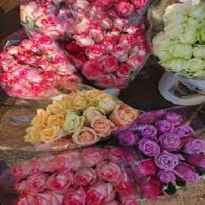 گل فروشی آمازون